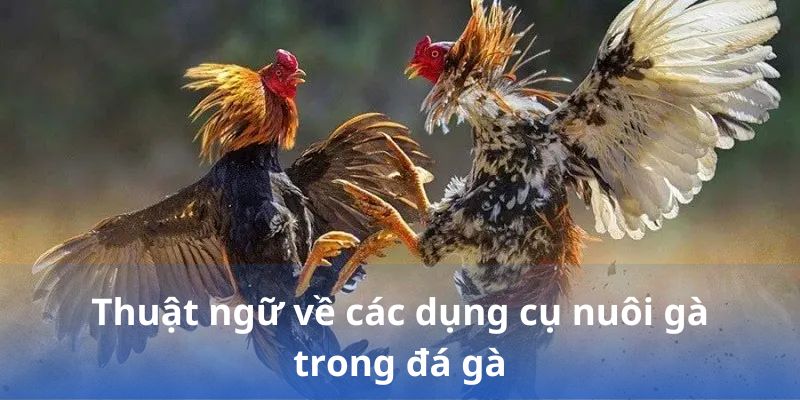 Thuật ngữ về các dụng cụ nuôi gà trong đá gà